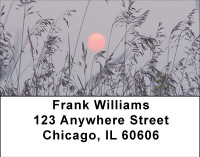 Seasons Of Harvest Address Labels | LBBBD-63