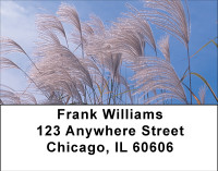 Seasons Of Harvest Address Labels | LBBBD-63