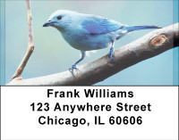 Blue Birds Address Labels
