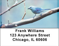Blue Birds Address Labels | LBBBD-67
