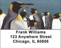 Families Of Penguin Address Labels | LBBBD-77