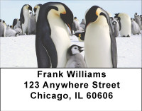 Families Of Penguin Address Labels | LBBBD-77