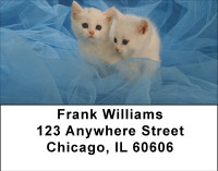 Kitten Curiosity Address Labels | LBBBD-86