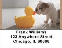 Bulldog Bathtime Address Labels | LBBBD-90