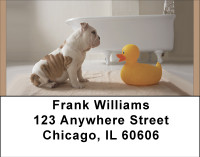 Bulldog Bathtime Address Labels | LBBBD-90