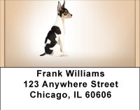 Fox Terrier Portraits Address Labels | LBBBD-92