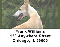 Greyhound Glances Address Labels | LBBBD-93