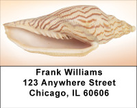 Peachy Shell Collection Address Labels