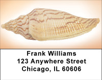 Peachy Shell Collection Address Labels | LBBBE-02