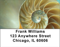 Shell Treasures Address Labels | LBBBE-03