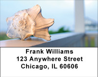 Shell Treasures Address Labels | LBBBE-03