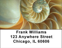 Shell Treasures Address Labels | LBBBE-03