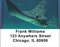 Stingrays On The Move Address Labels | LBBBE-04