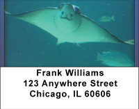 Stingrays On The Move Address Labels | LBBBE-04