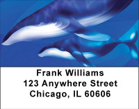 Whale Sightings Address Labels | LBBBE-06