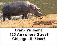 Hippo Heaven Address Labels | LBBBE-07