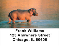 Hippo Heaven Address Labels | LBBBE-07