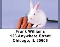Bunny Antics Address Labels | LBBBE-14
