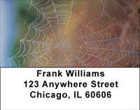 Spider Webs Address Labels