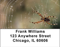Spider Webs Address Labels | LBBBE-15
