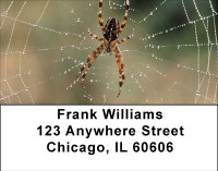 Spider Webs Address Labels | LBBBE-15