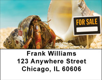 Home For Sale Address Labels | LBBBE-85