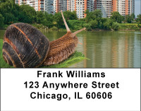 Home For Sale Address Labels | LBBBE-85