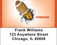 Go Big Orange Address Labels | LBBBH-05