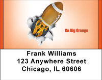 Go Big Orange Address Labels | LBBBH-05