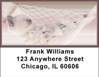 Kittens In Hammocks Address Labels | LBBBI-09