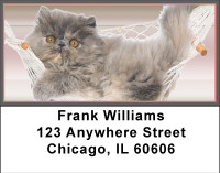 Kittens In Hammocks Address Labels | LBBBI-09