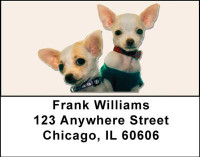 More Chihuahuas Address Labels