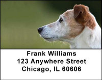 Jack Russell Terriers Address Labels | LBDOG-08