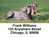Great Danes Address Labels | LBDOG-17