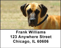 Great Danes Address Labels | LBDOG-17