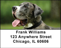 Great Danes Address Labels | LBDOG-17