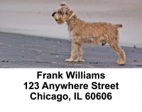 Schnauzers Address Labels | LBDOG-19