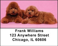 Toy Poodles Address Labels | LBDOG-21