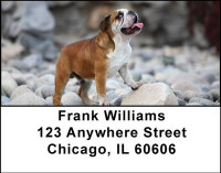 Fun with Bulldogs Address Labels | LBDOG-23