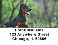 Alert and Watching Address Labels | LBDOG-26