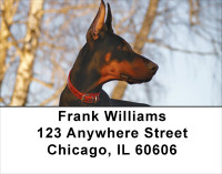 Alert and Watching Address Labels | LBDOG-26