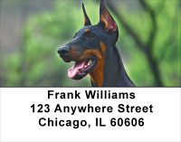 Alert and Watching Address Labels | LBDOG-26