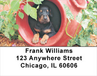 Fun Doberman Style Address Labels | LBDOG-27
