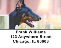 Fun Doberman Style Address Labels | LBDOG-27