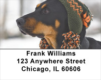 Fun Doberman Style Address Labels | LBDOG-27