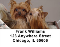 More Yorkies Address Labels | LBDOG-34