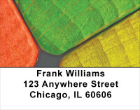 Colored Blocks Address Labels | LBEDU-04