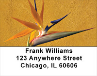 Blooming Paradise Address Labels