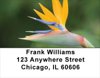 Blooming Paradise Address Labels | LBFLO-02