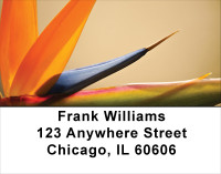Blooming Paradise Address Labels | LBFLO-02